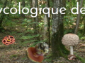 Societe mycologique sarthe